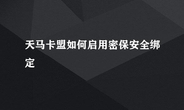 天马卡盟如何启用密保安全绑定