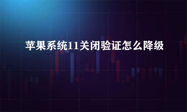 苹果系统11关闭验证怎么降级