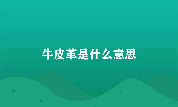 牛皮革是什么意思