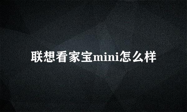 联想看家宝mini怎么样