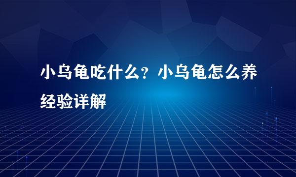 小乌龟吃什么？小乌龟怎么养经验详解