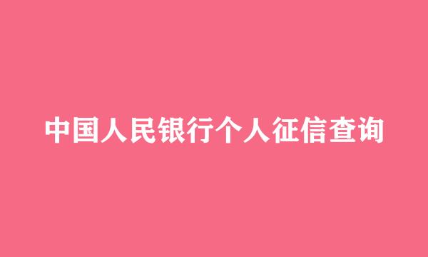 中国人民银行个人征信查询