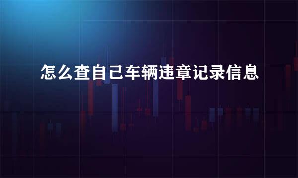 怎么查自己车辆违章记录信息