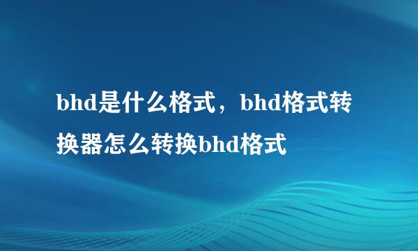 bhd是什么格式，bhd格式转换器怎么转换bhd格式