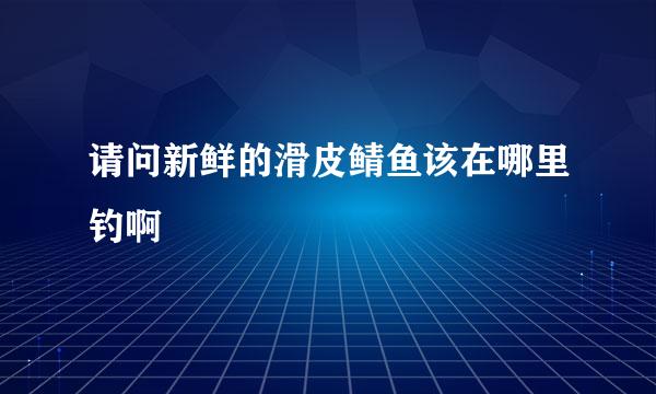 请问新鲜的滑皮鲭鱼该在哪里钓啊