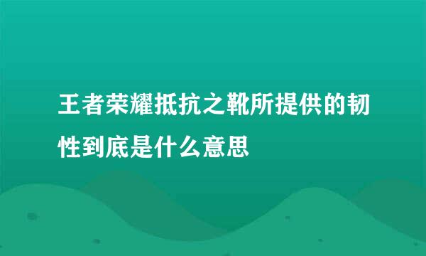 王者荣耀抵抗之靴所提供的韧性到底是什么意思