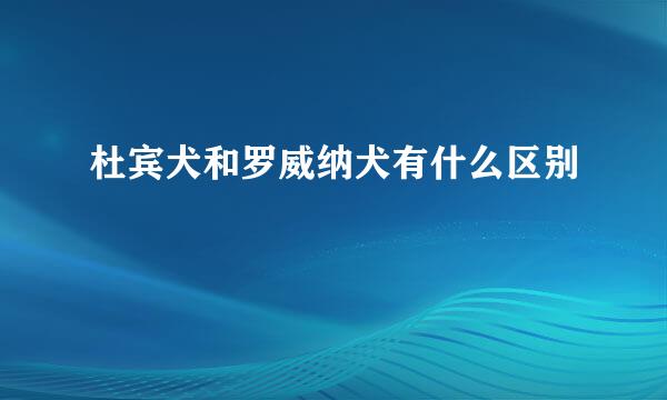 杜宾犬和罗威纳犬有什么区别