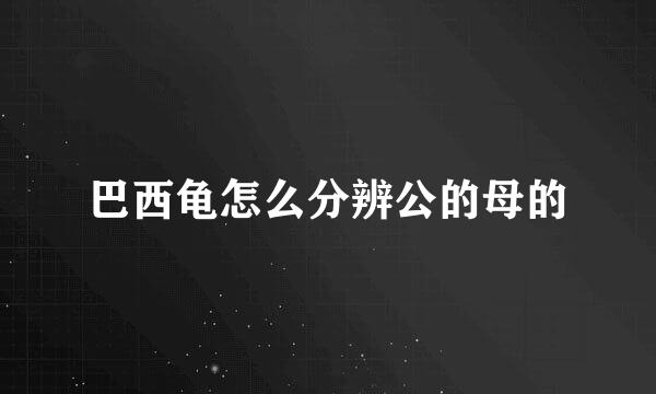 巴西龟怎么分辨公的母的