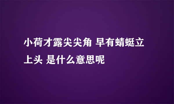 小荷才露尖尖角 早有蜻蜓立上头 是什么意思呢