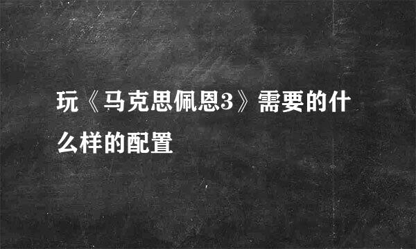 玩《马克思佩恩3》需要的什么样的配置