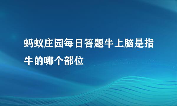 蚂蚁庄园每日答题牛上脑是指牛的哪个部位