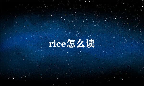 rice怎么读