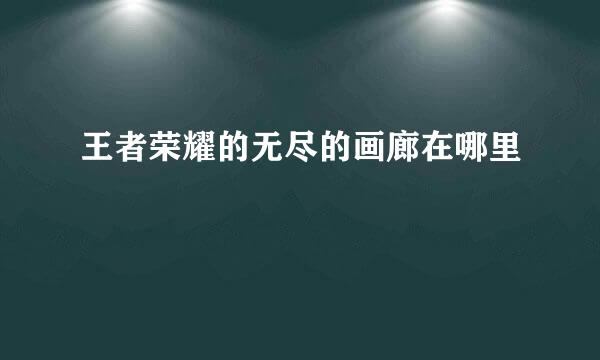 王者荣耀的无尽的画廊在哪里