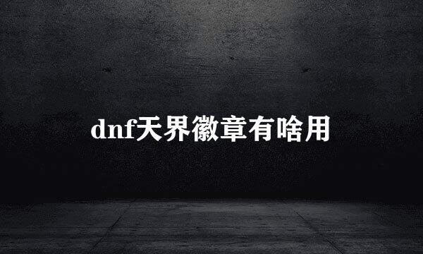 dnf天界徽章有啥用