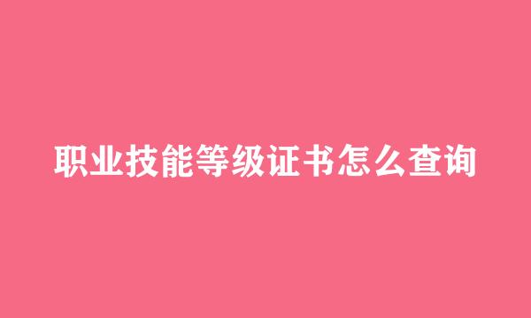 职业技能等级证书怎么查询