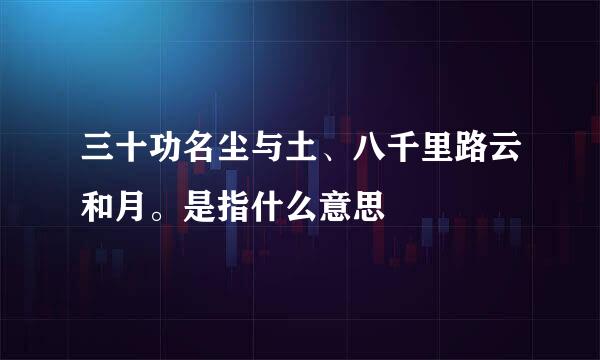 三十功名尘与土、八千里路云和月。是指什么意思