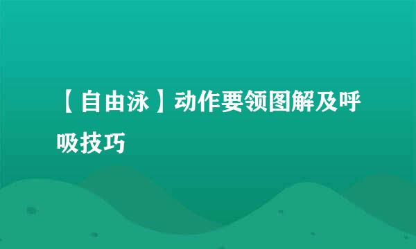 【自由泳】动作要领图解及呼吸技巧