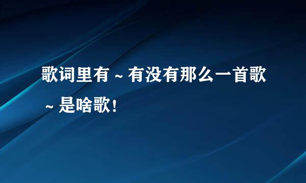 歌词里有～有没有那么一首歌～是啥歌！