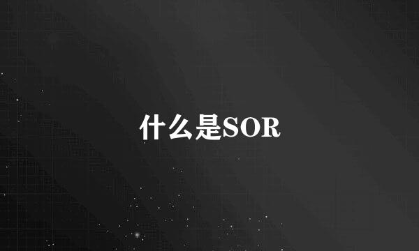 什么是SOR