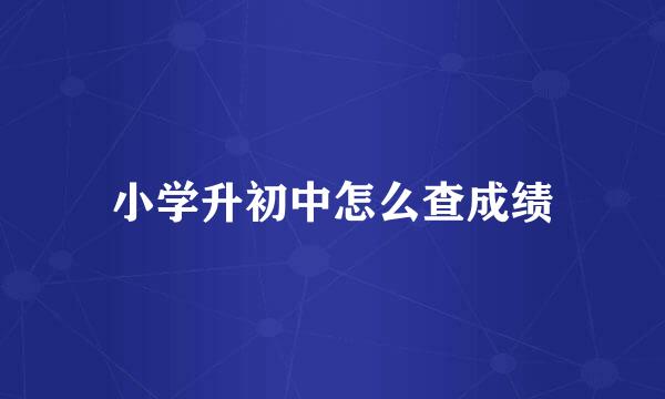 小学升初中怎么查成绩