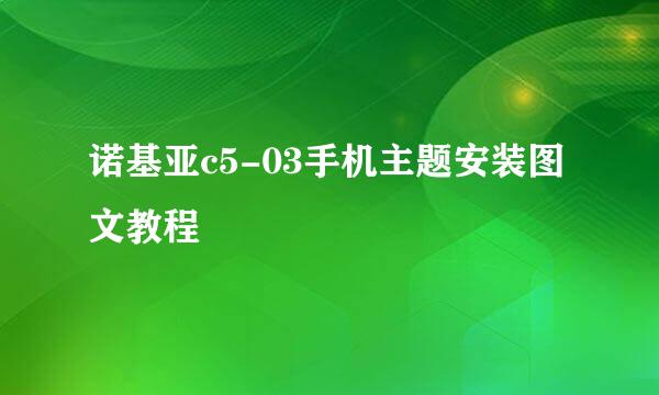 诺基亚c5-03手机主题安装图文教程