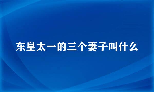 东皇太一的三个妻子叫什么