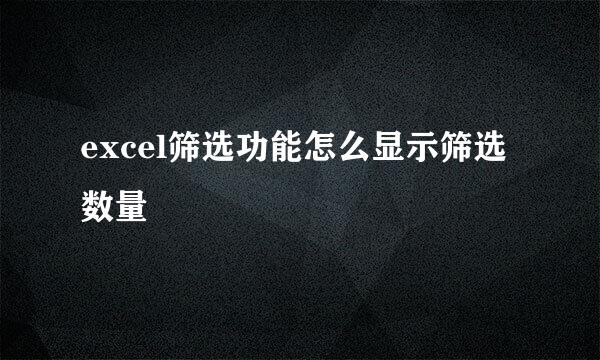 excel筛选功能怎么显示筛选数量