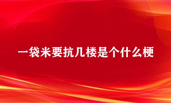 一袋米要抗几楼是个什么梗