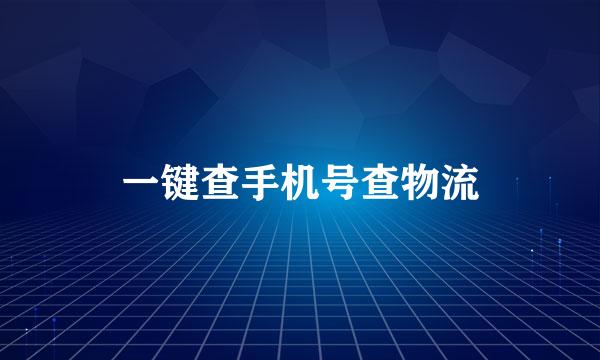 一键查手机号查物流