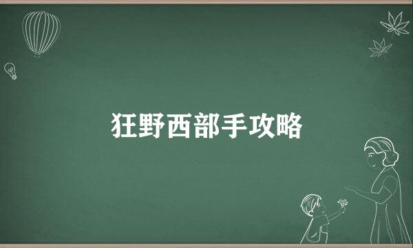 狂野西部手攻略