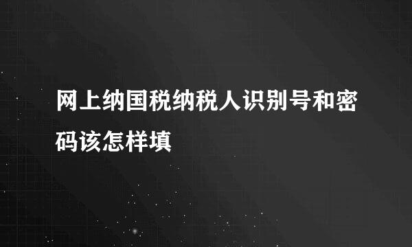 网上纳国税纳税人识别号和密码该怎样填