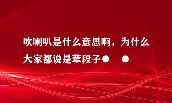 吹喇叭是什么意思啊，为什么大家都说是荤段子●﹏●