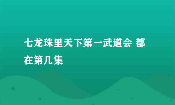 七龙珠里天下第一武道会 都在第几集