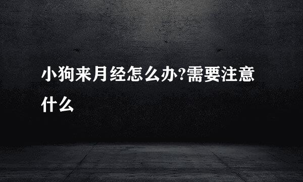 小狗来月经怎么办?需要注意什么