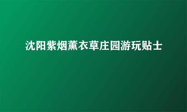 沈阳紫烟薰衣草庄园游玩贴士