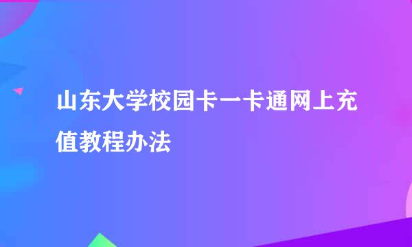 山东大学校园卡一卡通网上充值教程办法