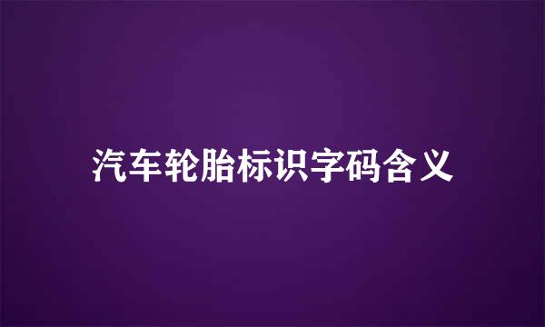 汽车轮胎标识字码含义