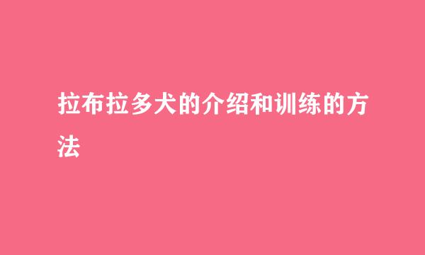 拉布拉多犬的介绍和训练的方法