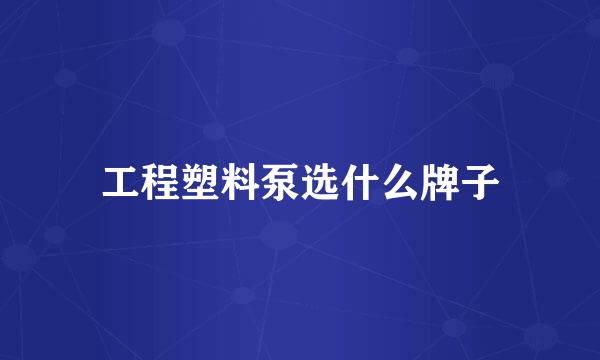 工程塑料泵选什么牌子