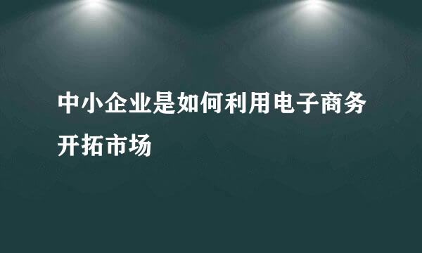 中小企业是如何利用电子商务开拓市场