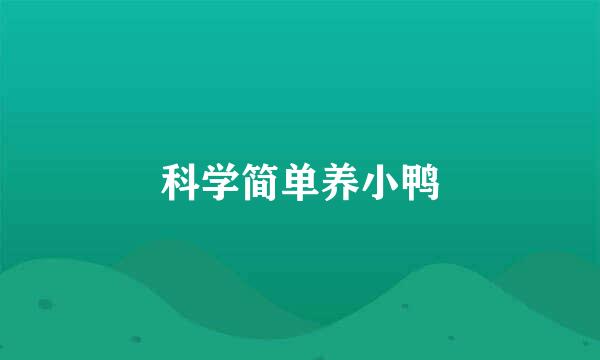 科学简单养小鸭