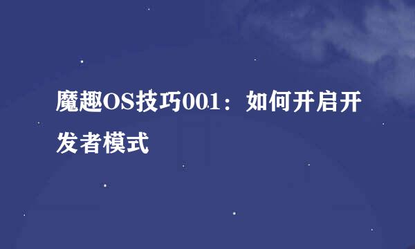 魔趣OS技巧001：如何开启开发者模式