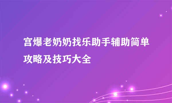 宫爆老奶奶找乐助手辅助简单攻略及技巧大全