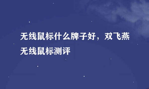 无线鼠标什么牌子好，双飞燕无线鼠标测评