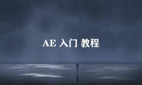 AE 入门 教程