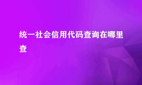 统一社会信用代码查询在哪里查