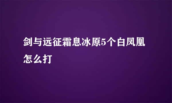 剑与远征霜息冰原5个白凤凰怎么打