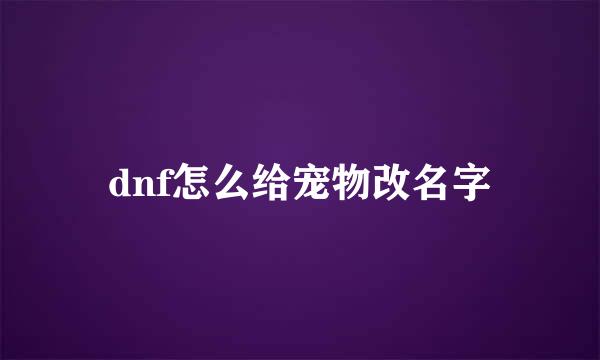 dnf怎么给宠物改名字