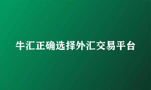 牛汇正确选择外汇交易平台