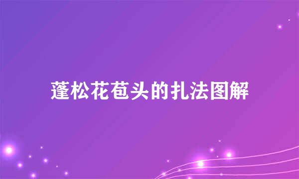 蓬松花苞头的扎法图解